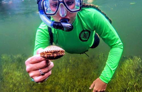 Beachy 2-1 Condo - Foto 45