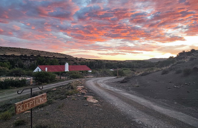 Ganora Guestfarm & Excursions - Foto 57