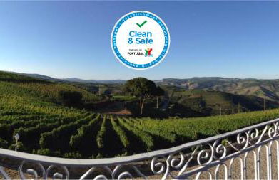 Quinta dos Espinheiros - Foto 1