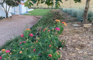 Monte do Pombal - Foto 57