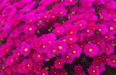 La Terrazza sull'Alba - Photo 70