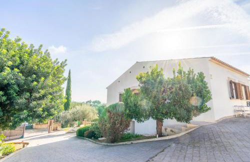 Can Pazita - Foto 39