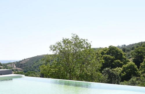 Quinta das Colmeias - Foto 21