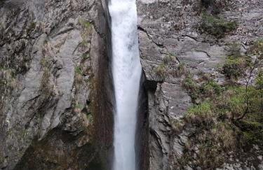 Faltnerhof - Foto 49