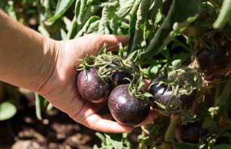 Boutique Hotel Poggio ai Santi - Adults Only - Foto 58