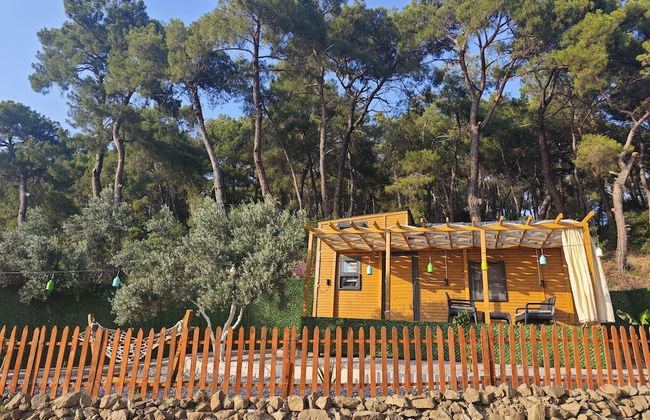 TİNY MİNİ HOUSE - Foto 27