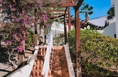 Flor De Cactus - Foto 50