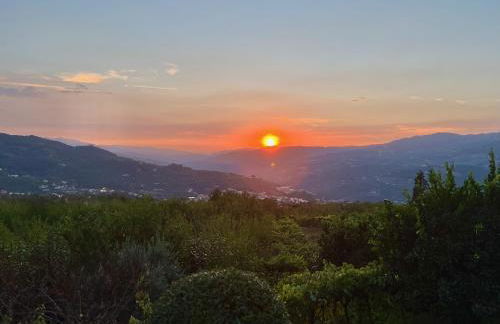 Quinta de CasalMato - Foto 24