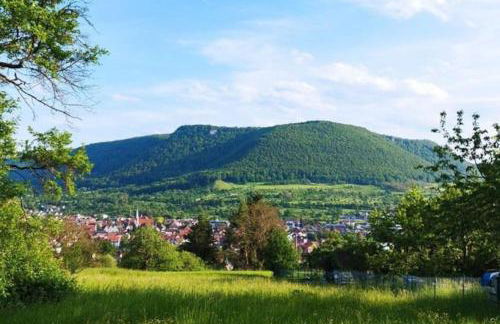 Ferienwohnung Ermstal - Foto 14