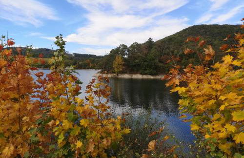 diemelseeholiday romantisches Ferienhaus im Sauerland Nähe Willingen Winterberg - Foto 77