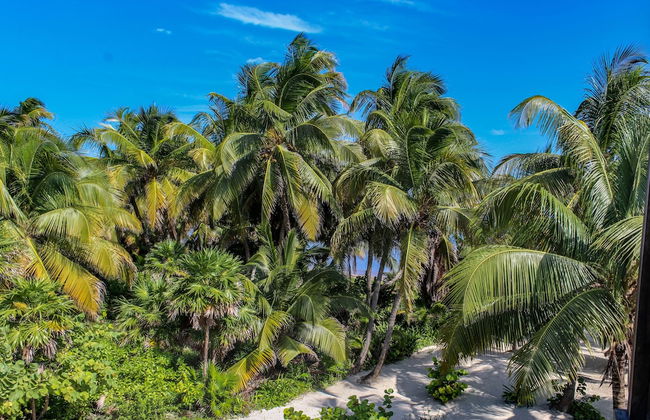 North Beach Retreat - Photo 38