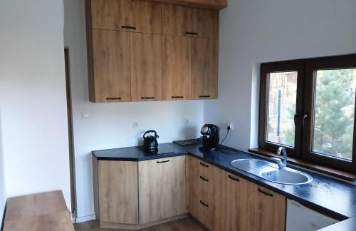 Osada Blanka Leśny Zakątek Jezioro Rzeka Swornegacie - Foto 28