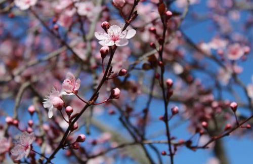 Fissas Rooms - Foto 8