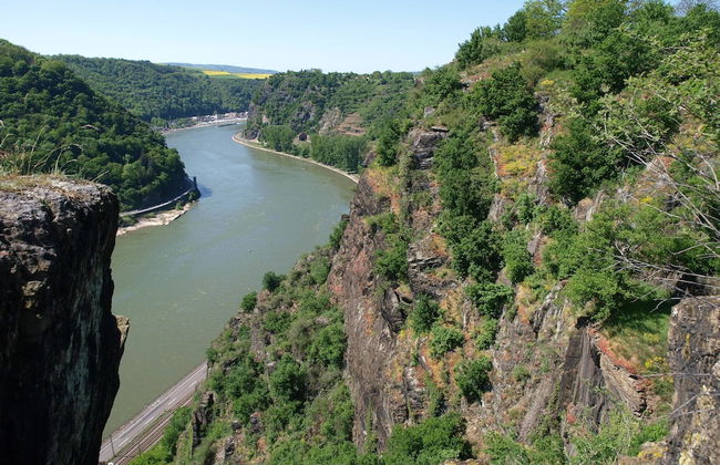 Family Stay in Libin Woods - Photo 33