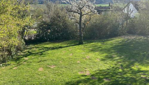 Garten Wohnung - Foto 3, Garden, Garden view