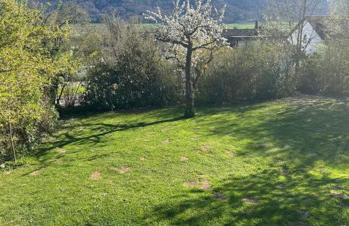 Garten Wohnung - Foto 3