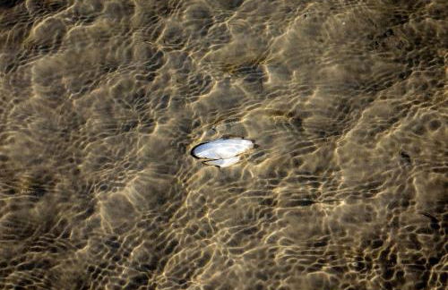 Fjordstuga - Foto 28