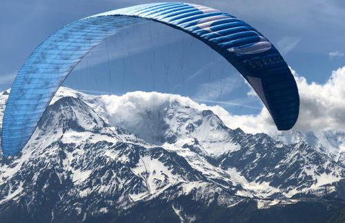 Fizhome Mt Blanc - Photo 14