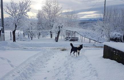 House Luna - Foto 52