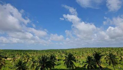 Salinas Exclusive Resort 2 Quartos - Foto 4