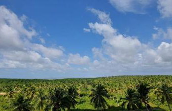 Salinas Exclusive Resort 2 Quartos - Foto 4