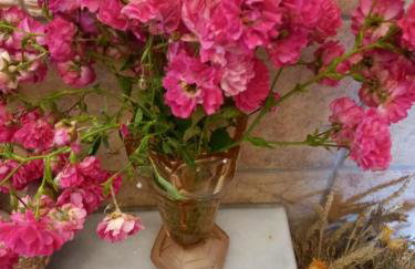 Villa Ioanneta - Close to sea, private parking, pet-friendly - Photo 33