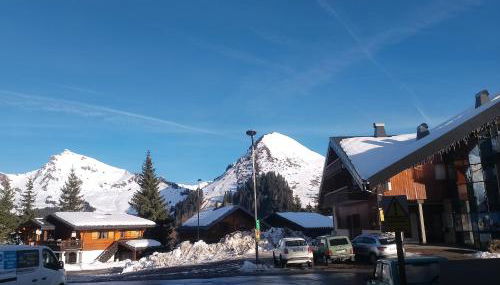 Studio coeur de station de Praz de Lys 1500m - Foto 4