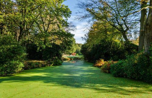 Schlossblick - Foto 27