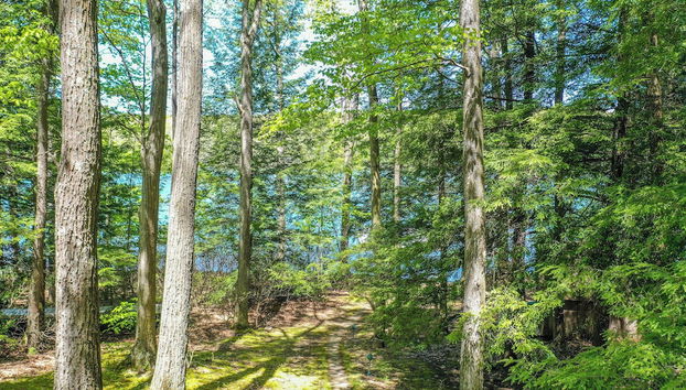 Putter Place by Taylor Made Deep Creek - Photo 3, Équipement de l’hébergement