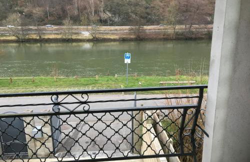 la Rose sur Meuse - Foto 7