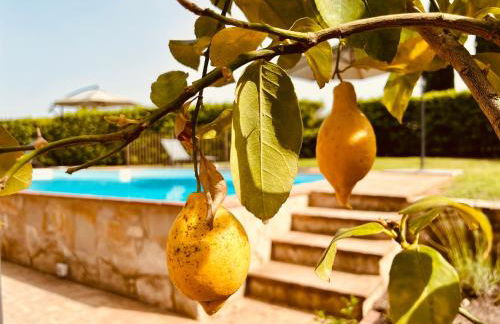 Libertas Tuscan Hideaway - Foto 48