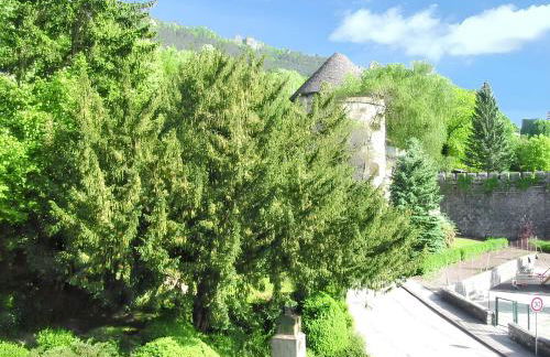 Appartement cosy Salins-les-Bains 18 m² Parking - Foto 6