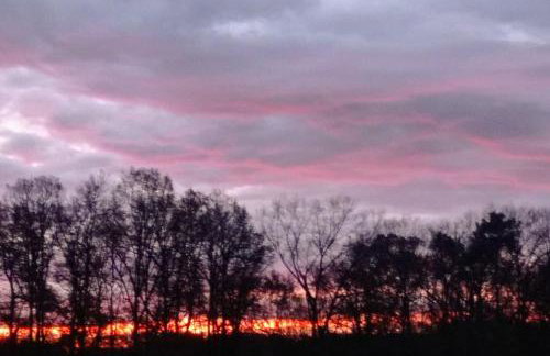 Gîte Vergnelibert - Foto 39