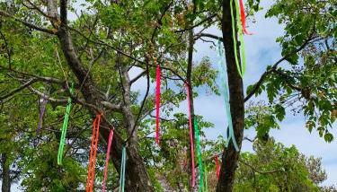 La Villa d ´Emma - Foto 4