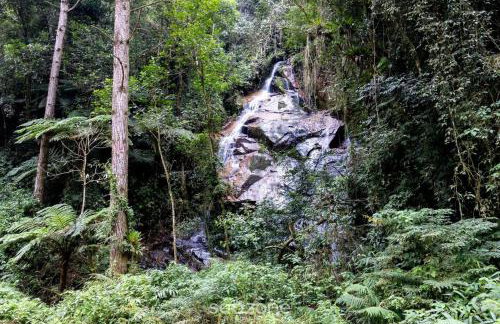 Cabana com vista deslumbrante na serra VST020 - Photo 18