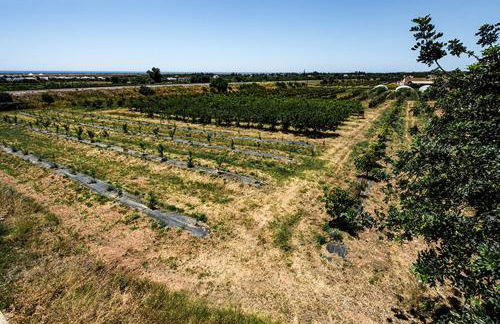 Casa Terraço do Caracol - Foto 24
