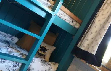 Gaggle of Geese Pub - Shepherd Huts & Bell Tents - Foto 10