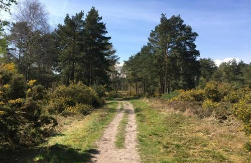 Cozy Cottage Retreat in Surrey Hills - Foto 10