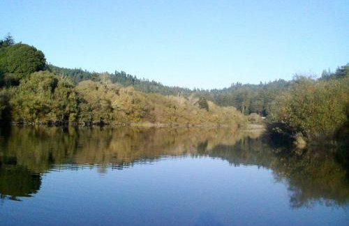 Sweet Creek - Photo 10