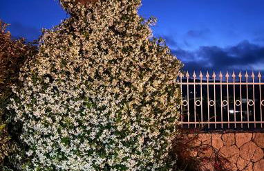 La Dimora Del Mare - Foto 35