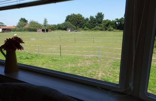 Equestrian Retreat - Sleeps 4 & Bbq - Foto 33