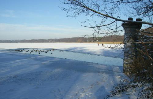 Ferienhaus Pirol - Photo 28