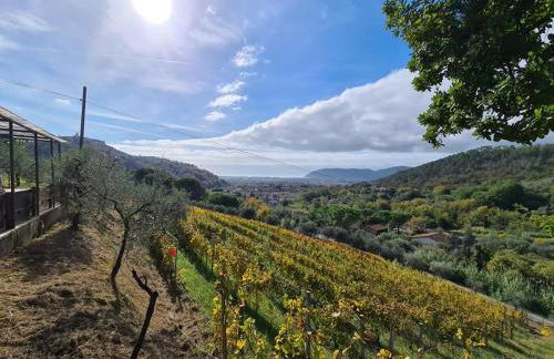 Agriturismo La Carreccia - Foto 28