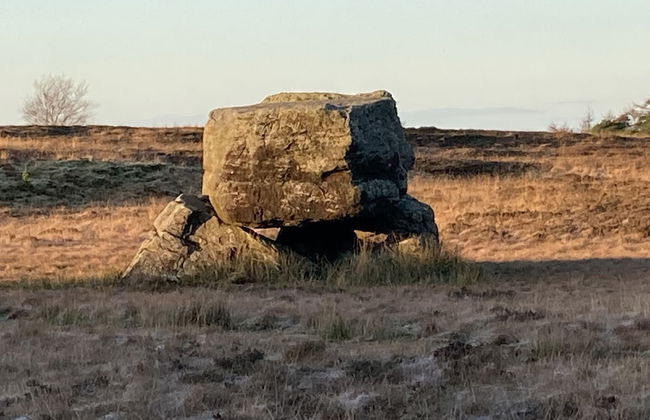 Luxury and Peaceful 1-bed Roundhouse With Hot Tub - Foto 17