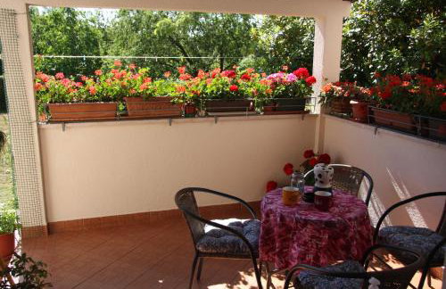 Apartman Rino - Foto 13