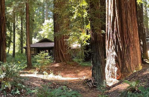 The Groves at Redway Beach - Studio - Foto 7