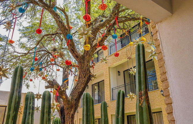 Residencias la Estación San Miguel de Allende - Foto 77