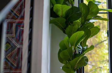 PoolTable - Hot Tub - FirePit - Games - Bunk Slide - Wet Bar - Foto 75