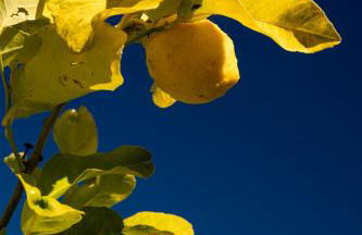 CasaCeciliamare - Photo 44