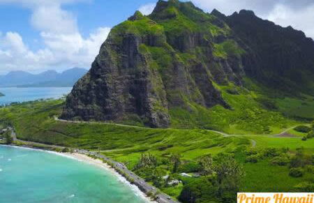 Amazing Beachfront Condo by Pool - Foto 22